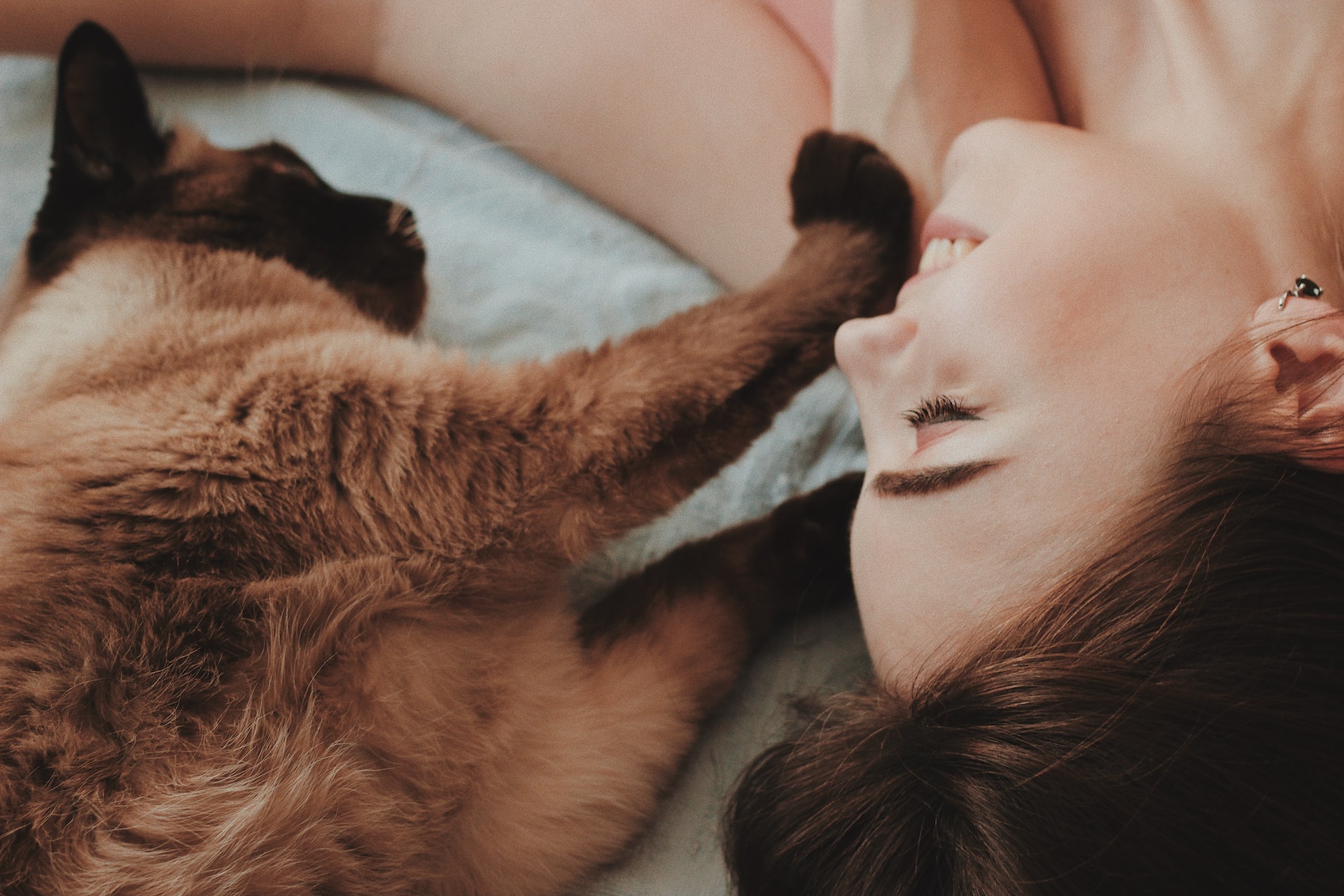 Alergi Bulu Kucing  Bahaya Bulu Kucing: Penyebab Alergi & Penyakit Bagi Wanita?