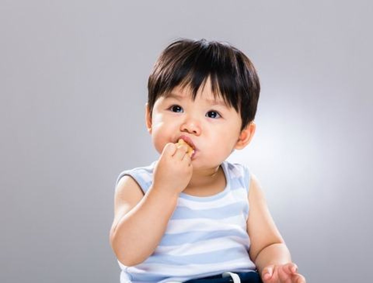 finger food bayi finger food adalah finger food bayi 8 bulan finger food bayi 9 bulan finger food untuk bayi